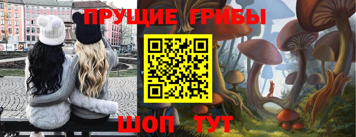 Галлюциногенные грибы мицелий Жуковский