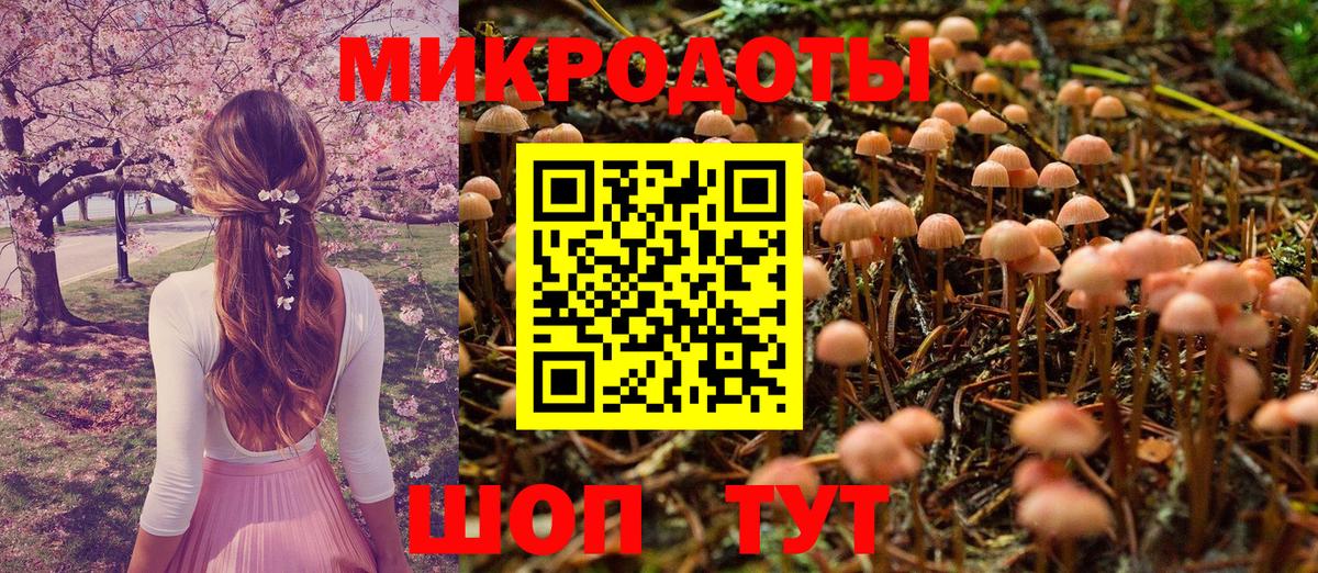 Жуковский  Псилоцибиновые грибы мухоморы  купить наркотики цена  Вход с VPN 